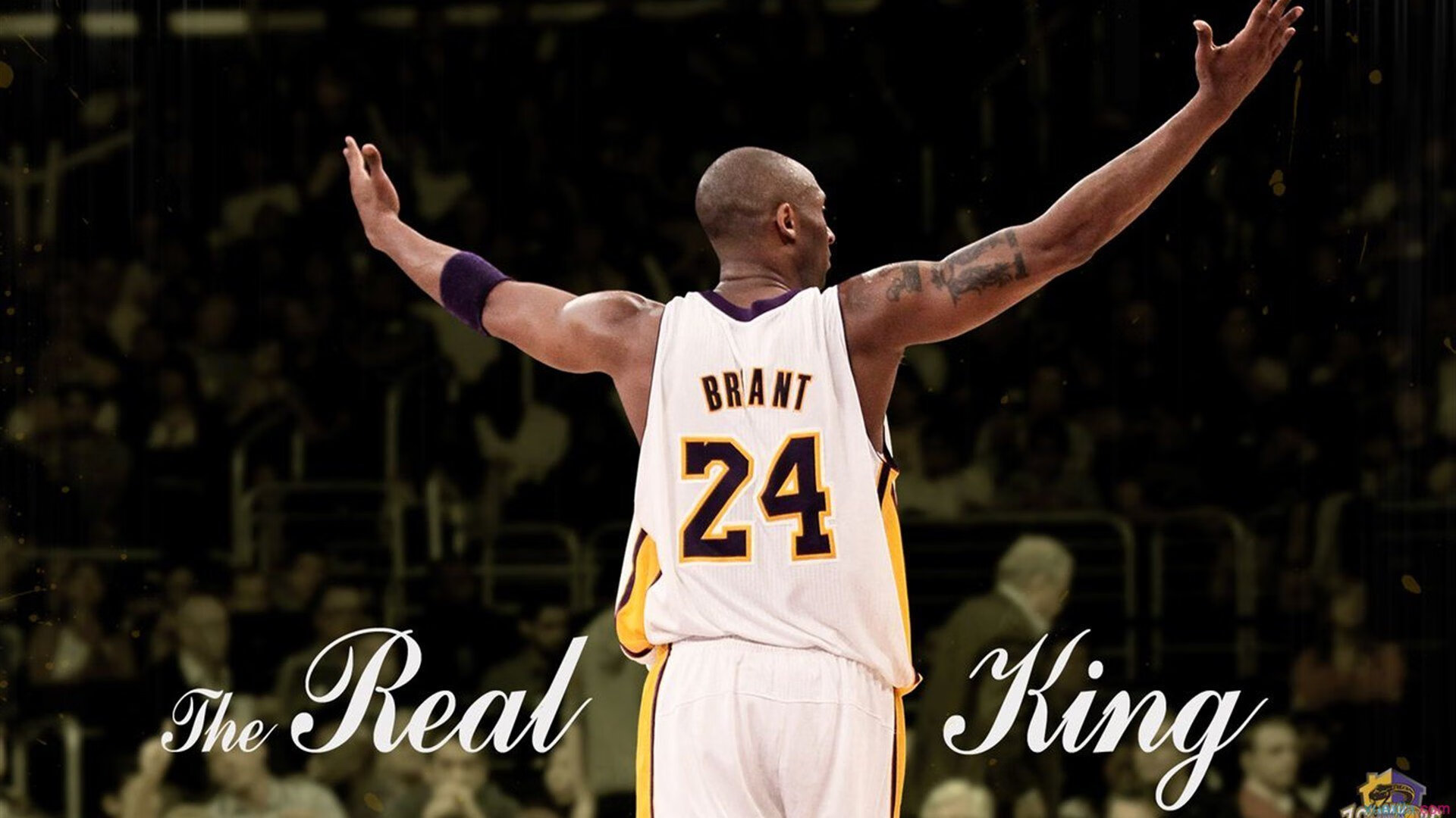 从维也纳到纽约，蒂姆的进化论—ATP总决赛鏖战如何重塑美网冠军